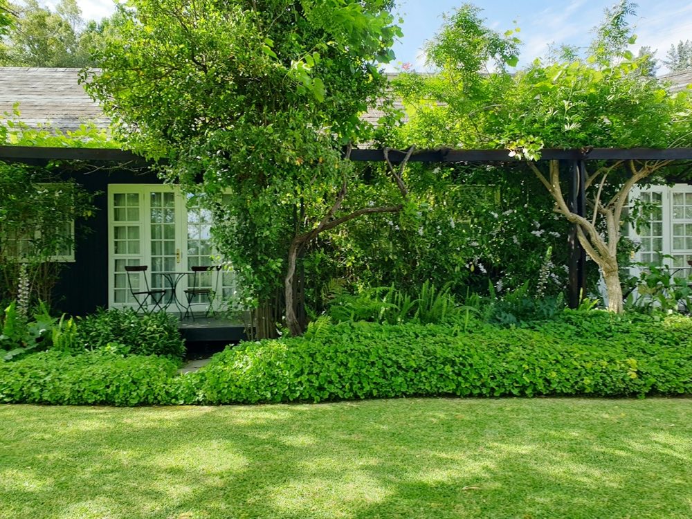 Casa con jardín y árboles